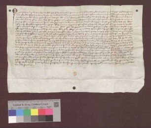 Das Gericht zu Speyer vidimiert die Bulle Papst Clemens' V. vom 4. September 1309.