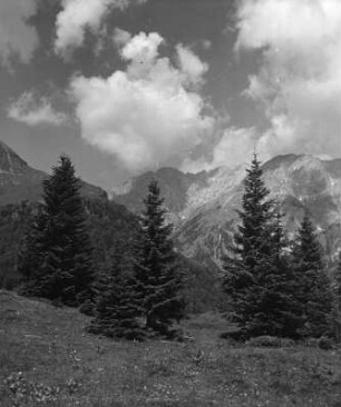 Kärnten. Karnische Alpen. Kleiner Pal (1867 m). Ansicht von Nordnordwesten aus dem Valentins-Tal