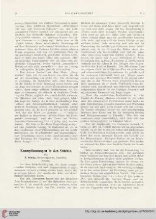 Baumpflanzungen in den Städten, [2]