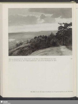 Blick vom Hirschstein bei der "Hohen Sonne" auf den Park um Schloß Wilhelmsthal, den Schauplatz von Goethes Roman "Die Wahlverwandtschaften", und auf die Basaltkuppen der Rhön