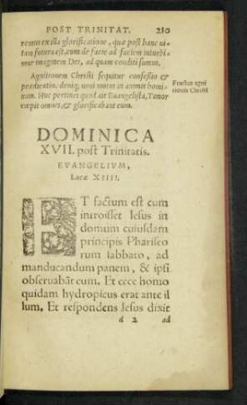 Dominica XVII. post Trinitatis.