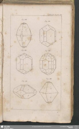 Plate XIX