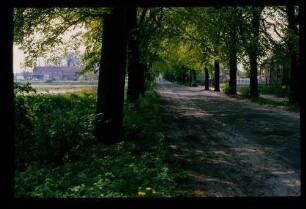 Chaussee b. Ketzin 16.5.80.