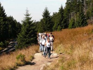 Wanderer im Hochmoorgebiet unterhalb des Brockens