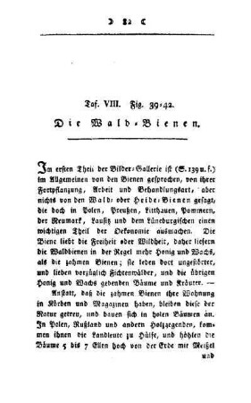 ¬Die¬ Wald-Bienen : Taf. VIII, Fig. 39 - 42