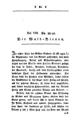 ¬Die¬ Wald-Bienen : Taf. VIII, Fig. 39 - 42