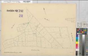 Coesfeld, Stadt und Ksp. (Coesfeld), Umlegung Harle, Urkarte I Coesfeld Ksp. Flur 10