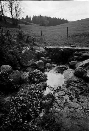 Der Donauursprung (Bregquelle) an der Martinskapelle bei Furtwangen