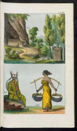 Taf. VIII. Fig. 30. - Fig. 32.