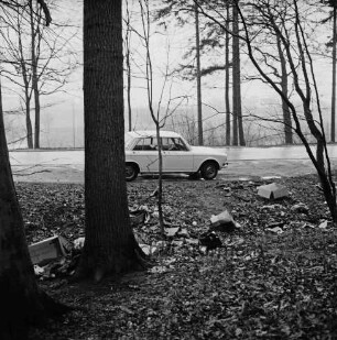Kneeden: wilde Müllentsorgung im Wald: links Baumstämme: hinten Mitte Pkw und Bäume