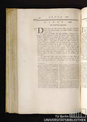 Caput VII. De Ductibus aquarum. Capitolo VII. De' modi di Trasportar l'Acqua.