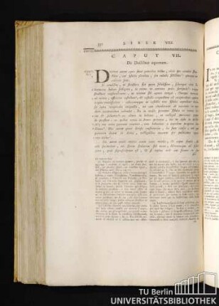 Caput VII. De Ductibus aquarum. Capitolo VII. De' modi di Trasportar l'Acqua.