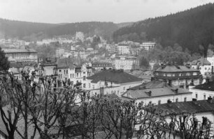 Cheb : Blick über die Häuser von Cheb.