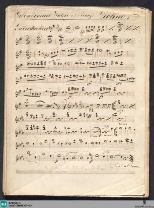 Vibrationen - Don Mus.Ms. 2611 : strings, winds, timp; D; SchLa no.689 SEV 204