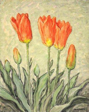 "Rote Tulpen" (bot.)