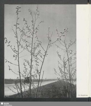 Vor Magdeburg