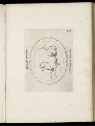Cavallo Marino