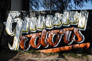 Guuuuy colors