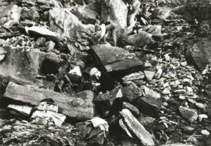 Zittaeur Gebirge. Steinbruch an der Südseite des Hochwald (Hvozd). Laiengeologen der Naturfreundvereinigung beim Suchen von Fossilien