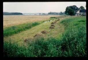 Land b. Spreeau 20.6.84.