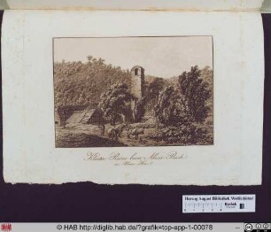 Kloster-Ruine beim Alexis-Bade im Unter-Harz