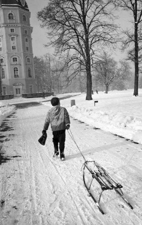 Wintertag im Schlossgarten.