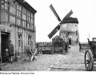Moritzer Mühle (Turmwindmühle). Ansicht aus dem Mühlengehöft : Zeithain. Moritzer Mühle (Turmwindmühle). Ansicht aus dem Mühlengehöft