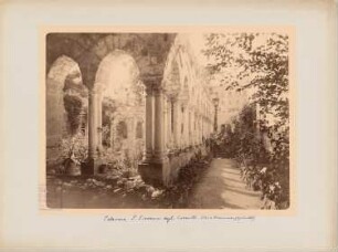 San Giovanni degli Eremitti, Palermo: Ansicht des Kreuzgangs