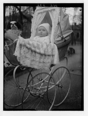Dresden. Friedrike Apel im Kinderwagen