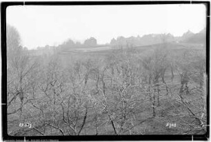 Rössen, Vereinshaus der Kolonie, Platzaufnahmen