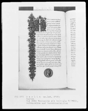 Sueton, De vita 12 caesarum und Fragment von De grammaticis et rhetoribus — ---, Folio 1recto-221recto---, Folio 1recto-221rectoPortraitmedaillon des Vespasian, Folio 205verso