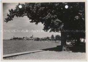 Langenargen, Schloß Montfort