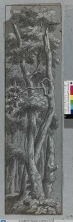 Dichter Wald. Eine Linkskulisse