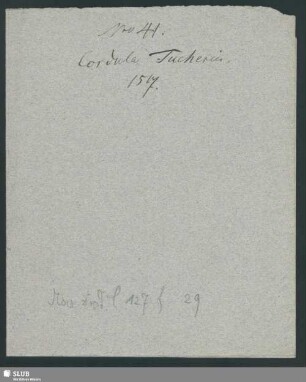 Brief Tucherin, Cordula an Anton Tucher - Mscr.Dresd.C.107.f,29 : nebst alter Abschrift