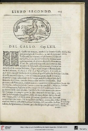 Cap. LXII. Del Gallo
