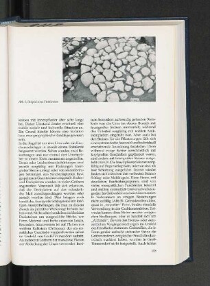Abb. 3: Beispiel eines Steinkreises