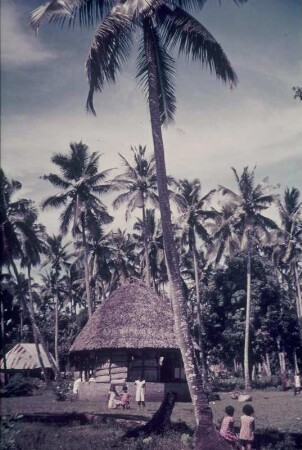 Reisefotos. Hütte am Strand unter Palmen (vielleicht in der Karibik)