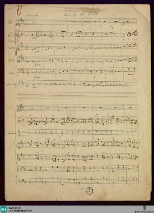 Mazurkas - Mus. Hs. 1350 : orch; b