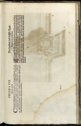Figura CVI. = Die hundert und sechste Figur.