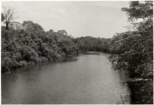 Galeriewaldstreifen am Rio Miranda : 48,84 km südwestlich von Nioaque, flussabwärts