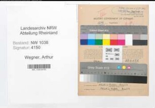 Entnazifizierung Arthur Wegner , geb. 25.02.1900 (Professor)