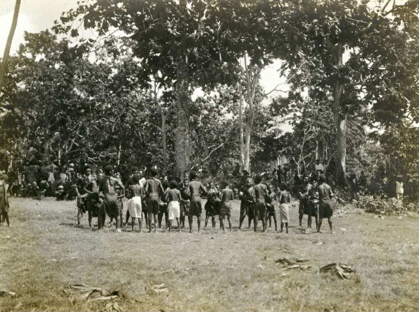 "Dance of the workers of the New Guinea Comp. plantation, Fisoa"