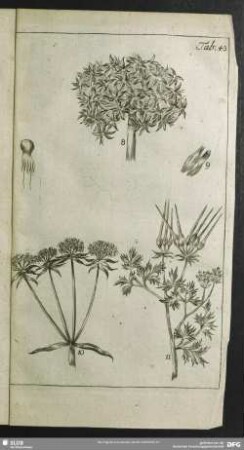 Tab. 43.