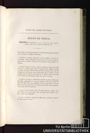 Traité des arbres fruitiers. Téton de vénus. Persica mammosa : flore parvo ; fructu magno, dilutè rubente, papillato ; carne gratissima ; glandulis petiolorum globosis.