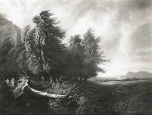 Eichen im Sturm : Eichen im Sturm. Ölgemälde (um 1830/1870; F. Diday)
