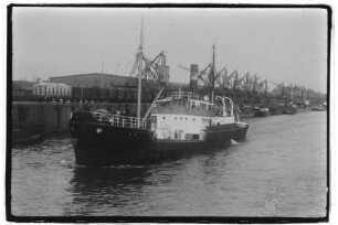 Neptun (1912), Neptun.- Dampfschifffahrts-Gesellschaft „Neptun“, Neptun Linie, D.G. "Neptun", Bremen