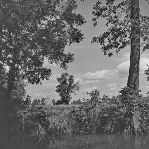 Spreewald um 1940. : Błóta wokoło 1940.