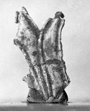 Belagstück in Form einer Palmette (in zwei Teile zerbrochen)