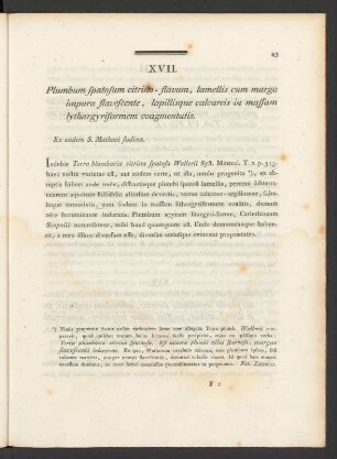 XVII. Plumbum spatosum citrino-flavum, lamellis cum marga impura flavescente, ...