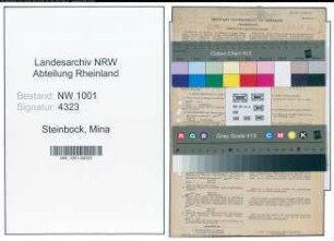 Entnazifizierung Mina Steinbock, geb. 10.03.1904 (Lehrerin)